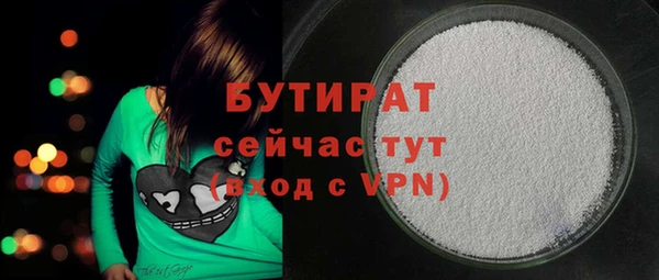твердый Новодвинск
