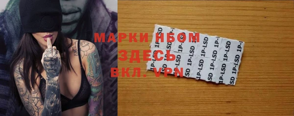 твердый Новокубанск