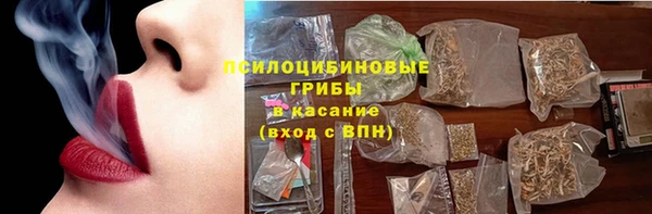 МДПВ Новозыбков