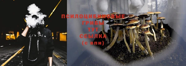 твердый Новокубанск
