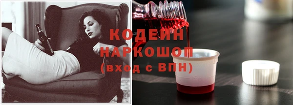 МДПВ Новозыбков