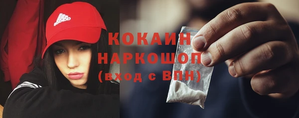 твердый Новодвинск