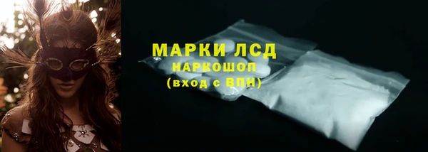твердый Новодвинск
