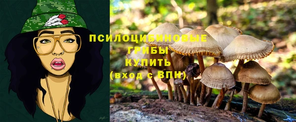МДПВ Новозыбков