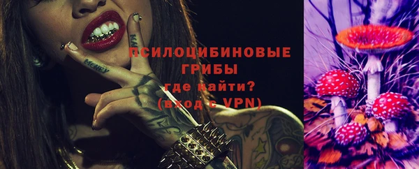 твердый Новодвинск
