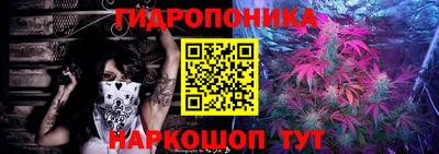 гашик Ирбит