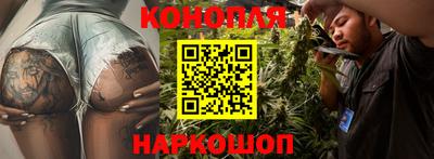 гашик Ирбит