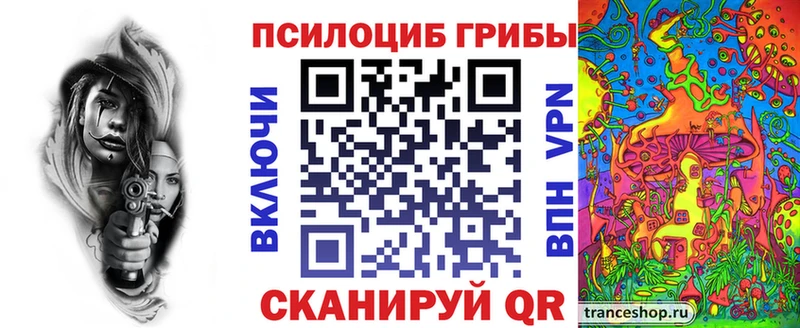 сколько стоит  Тосно  Псилоцибиновые грибы GOLDEN TEACHER 