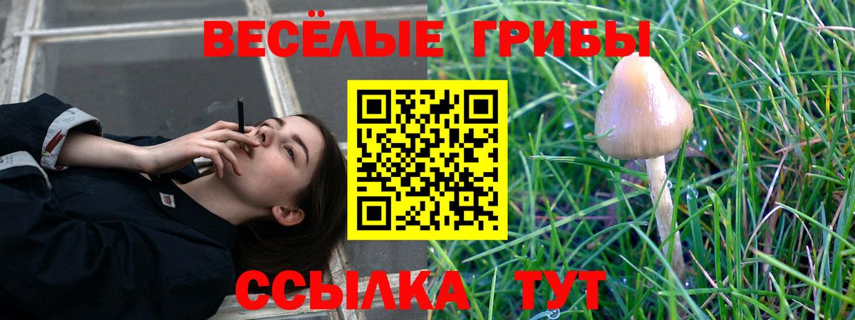 Галлюциногенные грибы мицелий Тосно